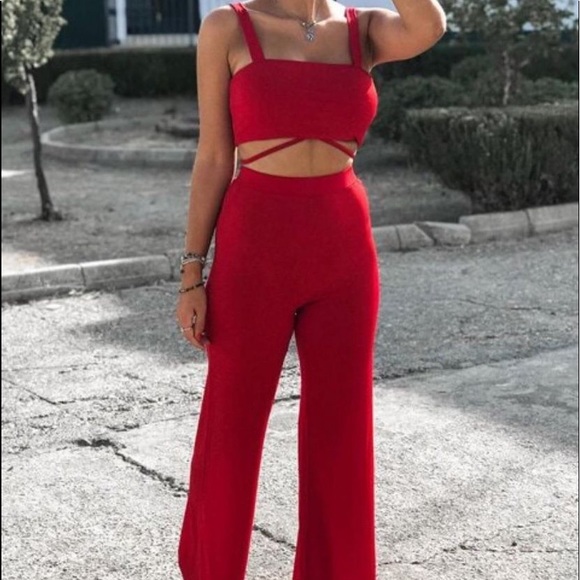 Pants - knot back crop top and flare leg pants set